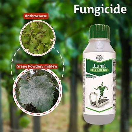Organic Agro Input